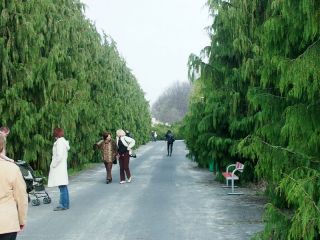 entrance.jpg
